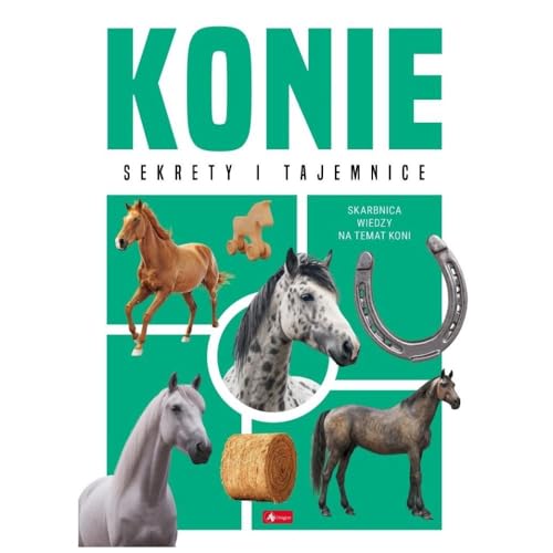 Konie von Dragon