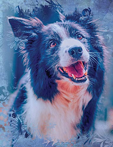 Cute Border Collie Dog Composition Notebook, College Ruled: Lined Student Exercise Book