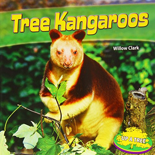Tree Kangaroos (Up a Tree)