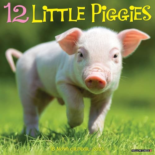 12 Little Piggies 2025 12 X 12 Wall Calendar 12 Little Piggies 2025 12 X 12 Wall Calendar von WILLOW CREEK