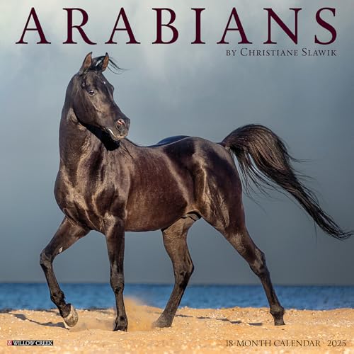 Arabians 2025 Wall Arabians 2025 Wall