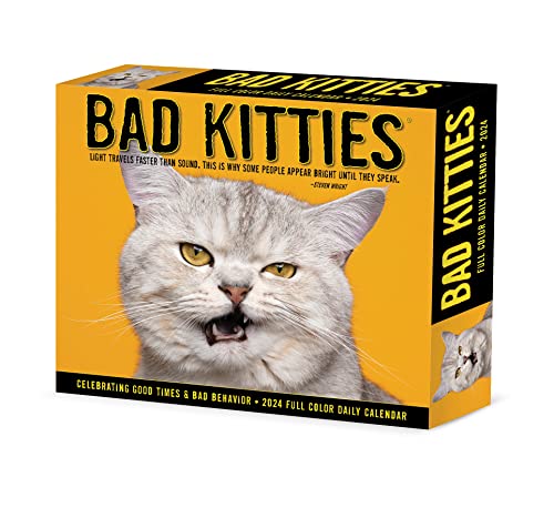 Bad Kitties 2024 6.2 X 5.4 Box Calendar