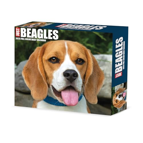 Beagles 2025 6.2 X 5.4 Box Calendar Beagles 2025 6.2 X 5.4 Box Calendar