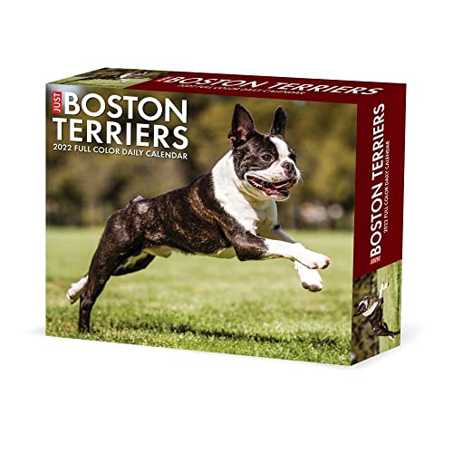Boston Terriers 2022 Box Calendar Boston Terriers 2022 Box Calendar von WILLOW CREEK