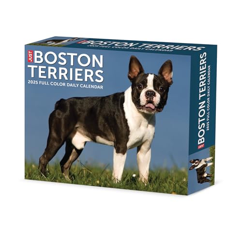 Boston Terriers 2025 6.2 X 5.4 Box Calendar Boston Terriers 2025 6.2 X 5.4 Box Calendar