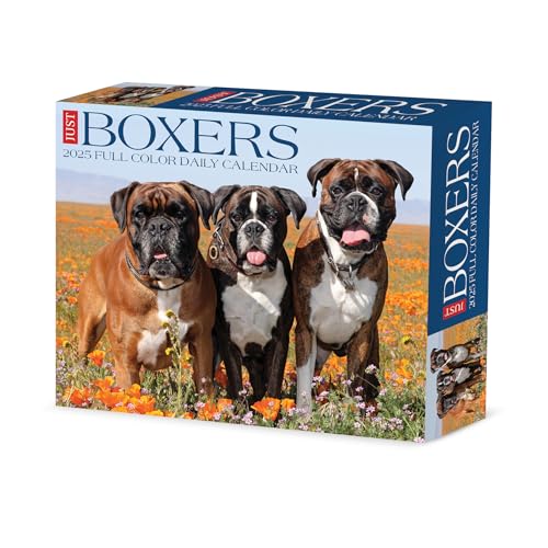 Boxers 2025 Box Boxers 2025 Box