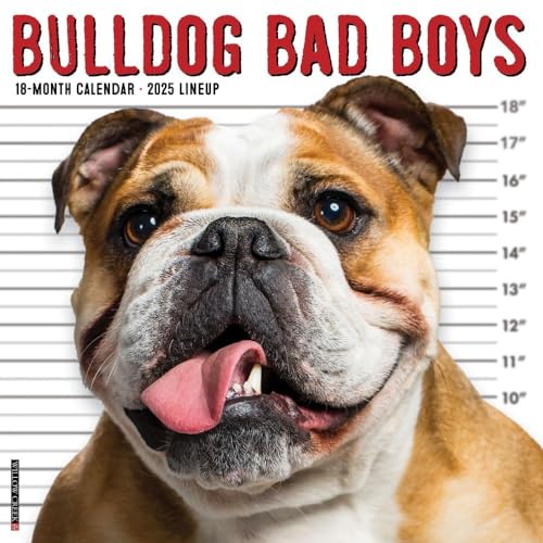 Bulldog Bad Boys 2025 Wall Bulldog Bad Boys 2025 Wall von WILLOW CREEK