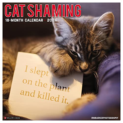 Cat Shaming 2024 Calendar von Willow Creek Press