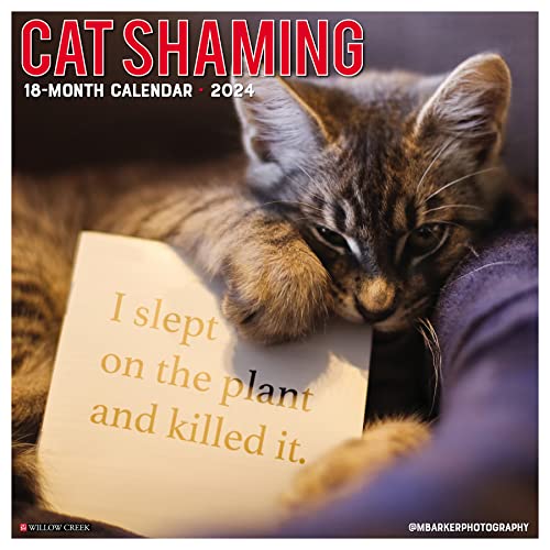 Cat Shaming 2024 Calendar Cat Shaming 2024 Calendar