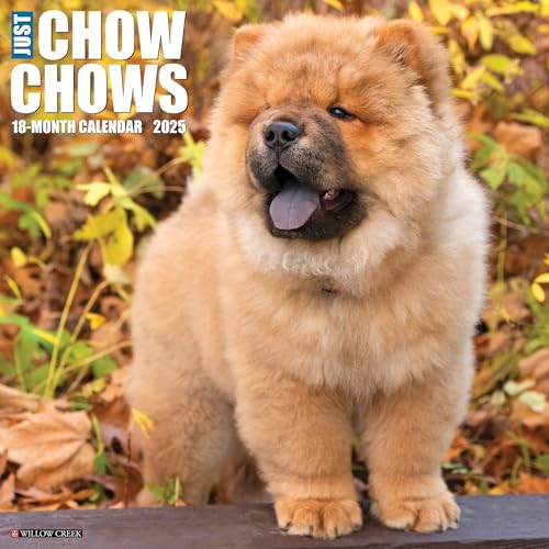 Chow Chows 2025 Wall Chow Chows 2025 Wall