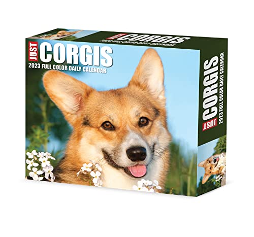 Corgis 2023 Calendar Corgis 2023 Calendar