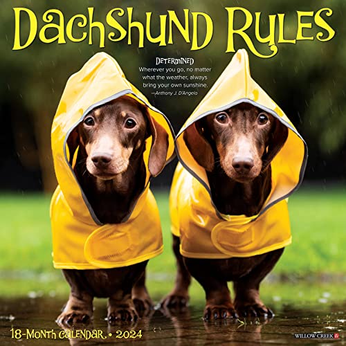 Dachshund Rules 2024 Calendar
