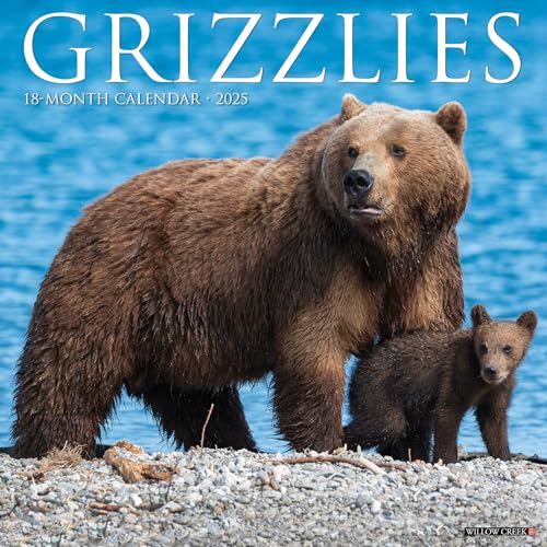Grizzlies 2025 12 X 12 Wall Calendar Grizzlies 2025 12 X 12 Wall Calendar