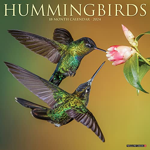 Hummingbirds 2024 12 X 12 Wall Calendar Hummingbirds 2024 12 X 12 Wall Calendar