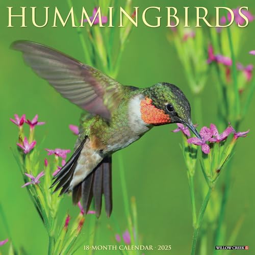 Hummingbirds 2025 12 X 12 Wall Calendar Hummingbirds 2025 12 X 12 Wall Calendar