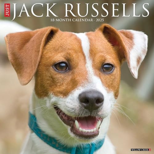 Jack Russells 2025 Wall Jack Russells 2025 Wall von WILLOW CREEK