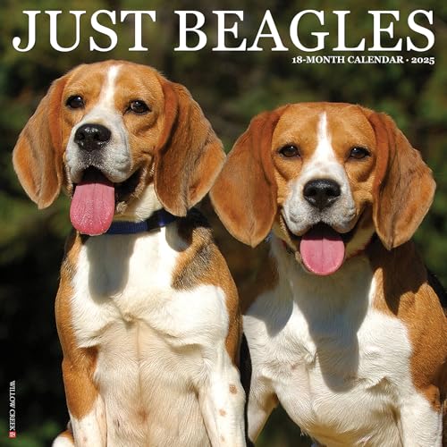 Just Beagles 2025 12 X 12 Wall Calendar Just Beagles 2025 12 X 12 Wall Calendar
