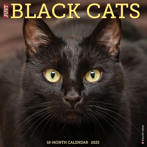 Black Cats 2025 Wall Black Cats 2025 Wall von WILLOW CREEK