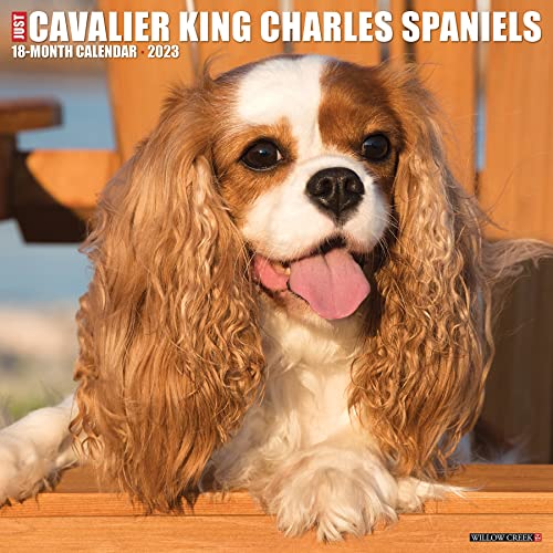 Just Cavalier King Charles Spaniels 2023 Wall Calendar von Willow Creek Press