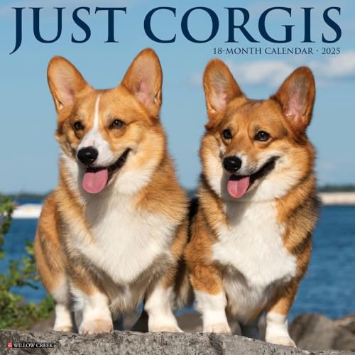 Just Corgis 2025 12 X 12 Wall Calendar Just Corgis 2025 12 X 12 Wall Calendar von WILLOW CREEK