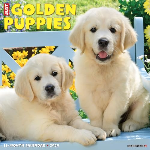 Just Golden Puppies 2024 12 X 12 Wall Calendar