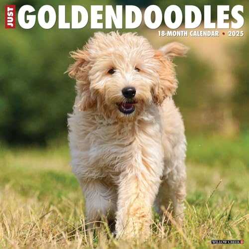 Goldendoodles 2025 Wall Goldendoodles 2025 Wall