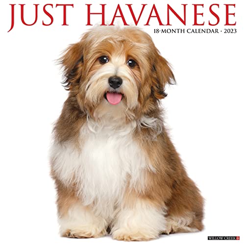 Just Havanese 2023 Wall Calendar Just Havanese 2023 Wall Calendar
