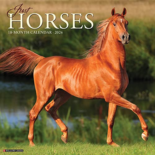Just Horses 2024 12 X 12 Wall Calendar