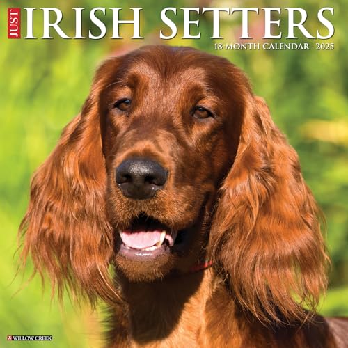 Just Irish Setters 2025 12 X 12 Wall Calendar Just Irish Setters 2025 12 X 12 Wall Calendar