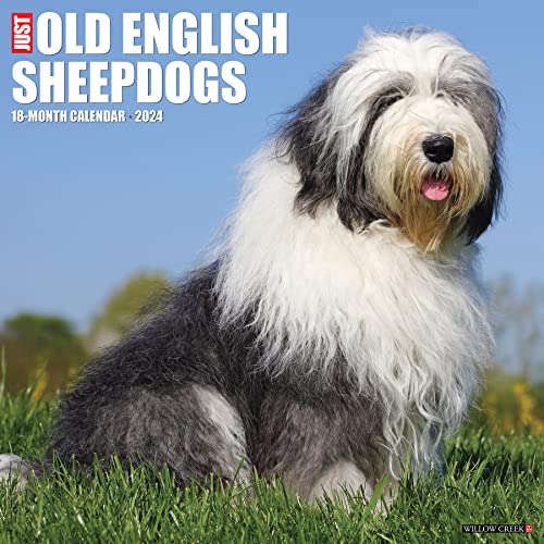 Just Old English Sheepdogs 2024 12 X 12 Wall Calendar