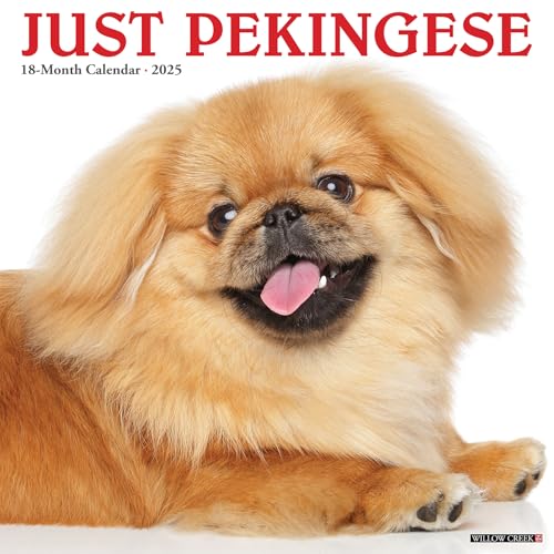 Just Pekingese 2025 12 X 12 Wall Calendar Just Pekingese 2025 12 X 12 Wall Calendar