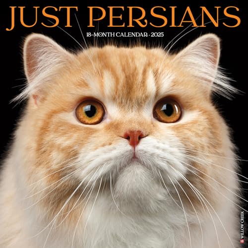 Just Persians 2025 12 X 12 Wall Calendar Just Persians 2025 12 X 12 Wall Calendar