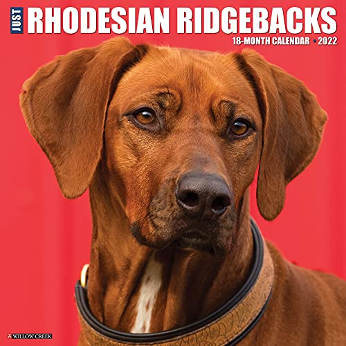 Just Rhodesian Ridgebacks 2022 Wall Calendar (Dog Breed)