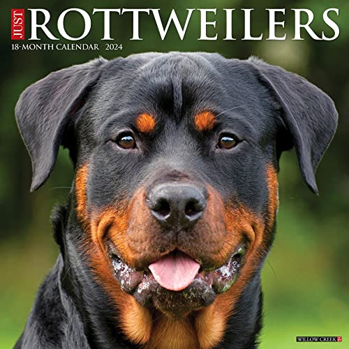 Just Rottweilers 2024 12 X 12 Wall Calendar Just Rottweilers 2024 12 X 12 Wall Calendar