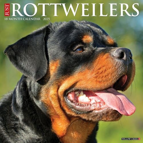 Rottweilers 2025 Wall Rottweilers 2025 Wall von WILLOW CREEK