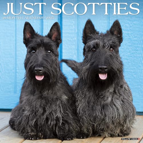 Just Scotties 2025 12 X 12 Wall Calendar Just Scotties 2025 12 X 12 Wall Calendar