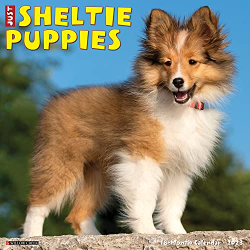 Just Sheltie Puppies 2023 Wall Calendar Just Sheltie Puppies 2023 Wall Calendar von WILLOW CREEK