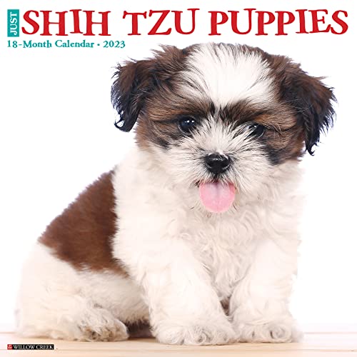 Just Shih Tzu Puppies 2023 Wall Calendar