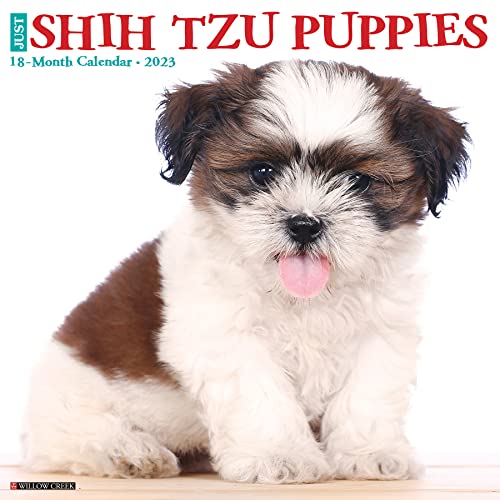 Just Shih Tzu Puppies 2023 Wall Calendar Just Shih Tzu Puppies 2023 Wall Calendar