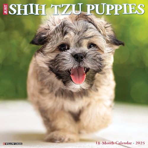Just Shih Tzu Puppies 2025 12 X 12 Wall Calendar Just Shih Tzu Puppies 2025 12 X 12 Wall Calendar