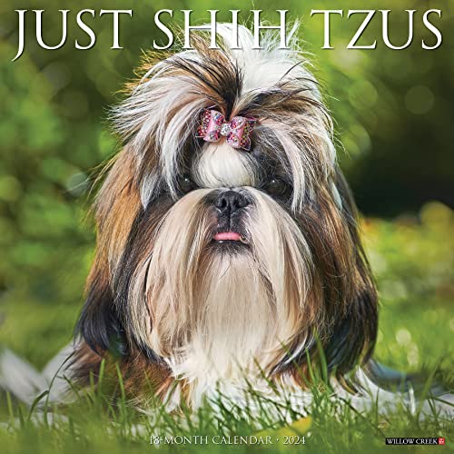 Just Shih Tzus 2024 12 X 12 Wall Calendar