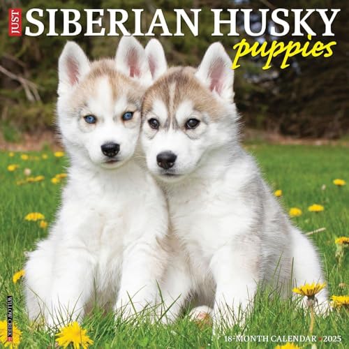 Siberian Husky Puppies 2025 Wall Siberian Husky Puppies 2025 Wall von WILLOW CREEK