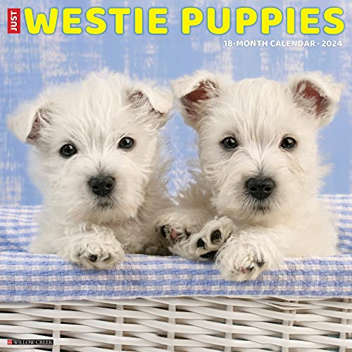 Just Westie Puppies 2024 Calendar