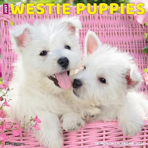 Just Westie Puppies 2025 12 X 12 Wall Calendar Just Westie Puppies 2025 12 X 12 Wall Calendar
