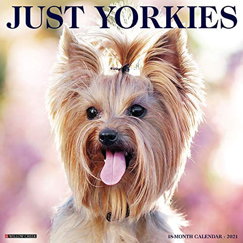 Just Yorkies 2021 Calendar Just Yorkies 2021 Calendar