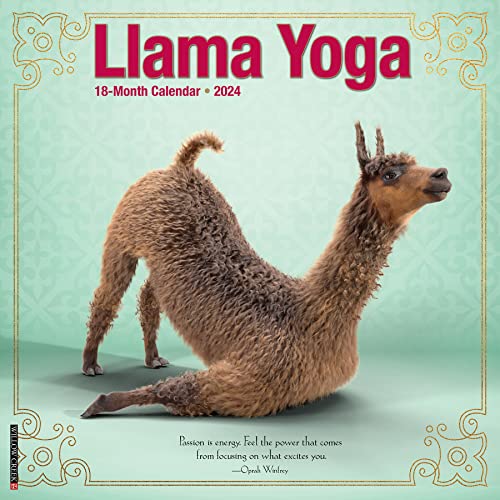 Llama Yoga 2024 12 X 12 Wall Calendar Llama Yoga 2024 12 X 12 Wall Calendar