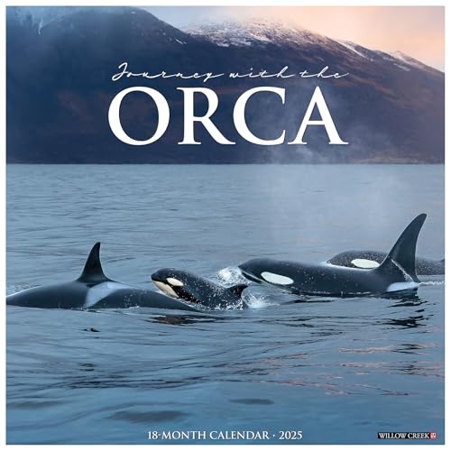 Orca (Journey With the) 2025 Wall