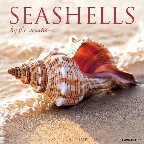 Seashells 2025 12 X 12 Wall Calendar Seashells 2025 12 X 12 Wall Calendar