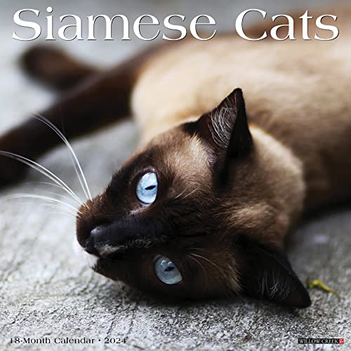 Siamese Cats 2024 Calendar von Willow Creek Press