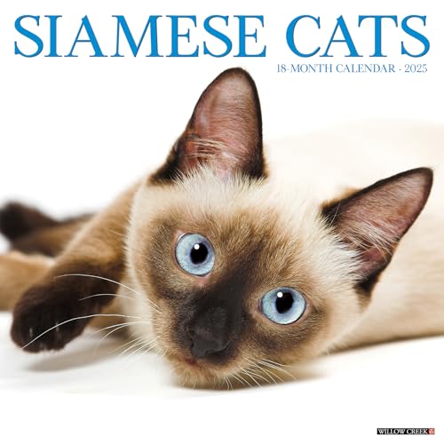 Siamese Cats 2025 12 X 12 Wall Calendar Siamese Cats 2025 12 X 12 Wall Calendar